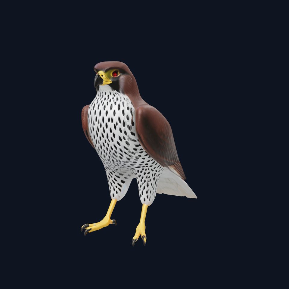 Realistic Falcon Bird 3D Model