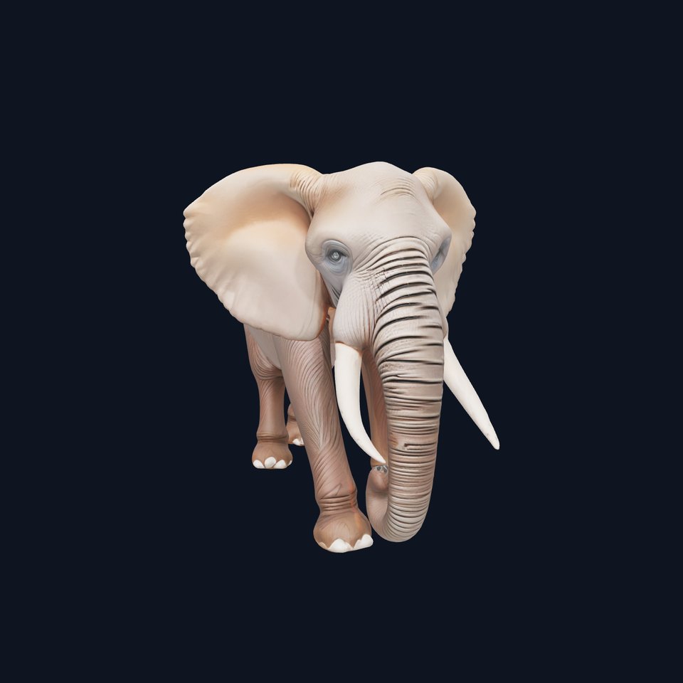 African Elephant Realistic 3D Model