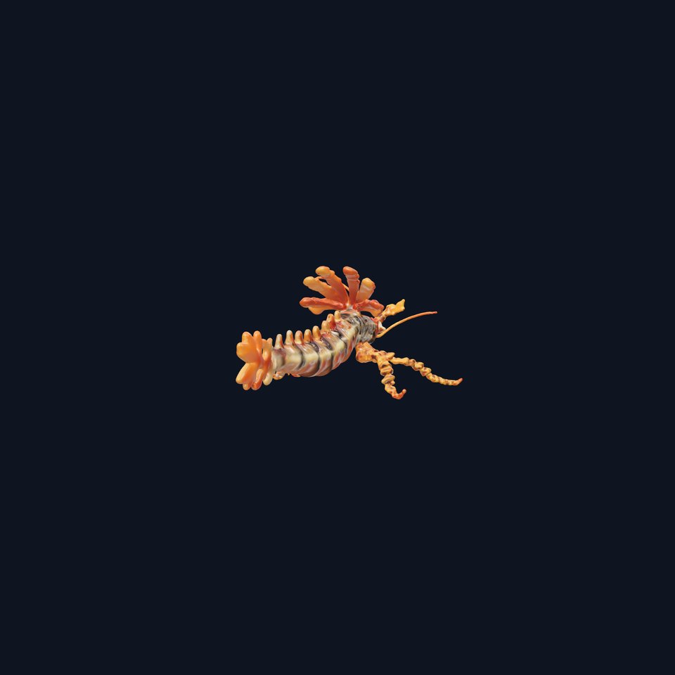 Leafy Seadragon 3D Model with Intricate Appendages