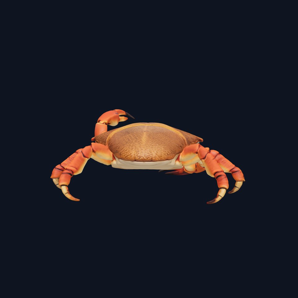 Coconut Crab with Coconut-Cracking Claws 3D Model