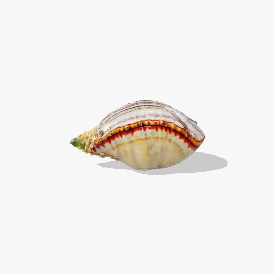 Vibrant Giant Clam Shell Model with Detailed Texture viewer poster