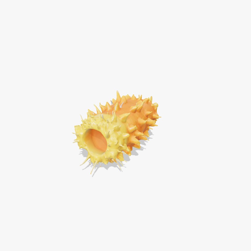 Sea Apple 3D Model with Tubular Body and Feathery Structures