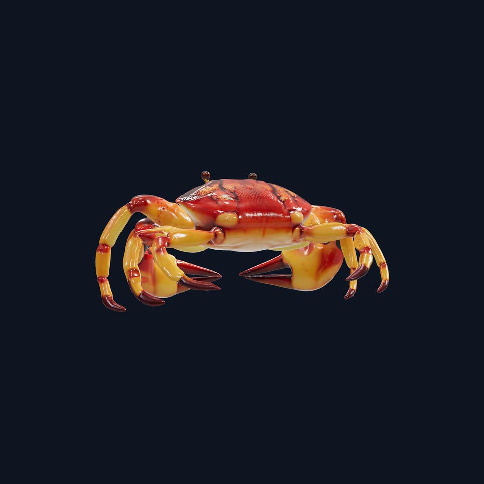 Fiddler Crab with Oversized Claw 3D Model