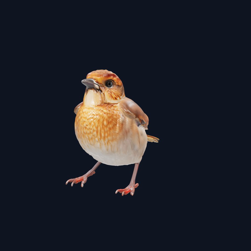 Russet Sparrow 3D Model with Warm Brown Tones