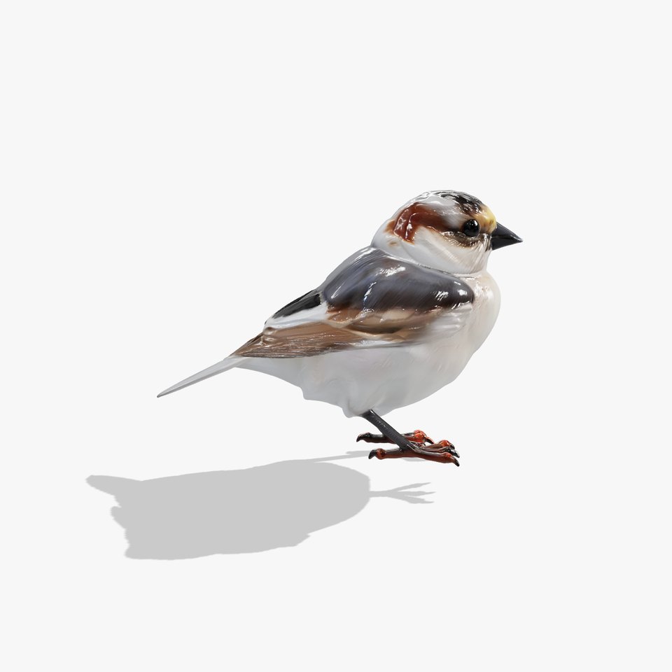 Snow Sparrow Arctic Camouflage Bird Model viewer poster