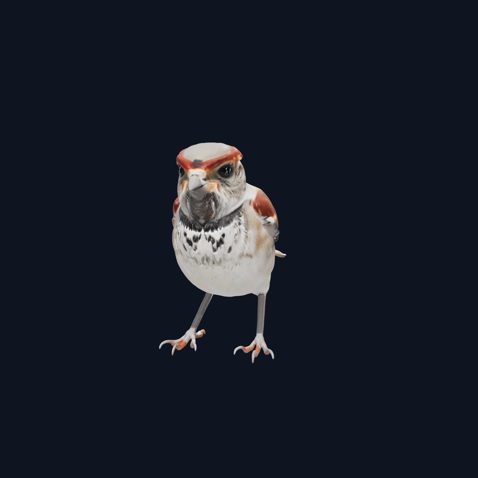 Eurasian Tree Sparrow 3D Model with Reddish-Brown Cap