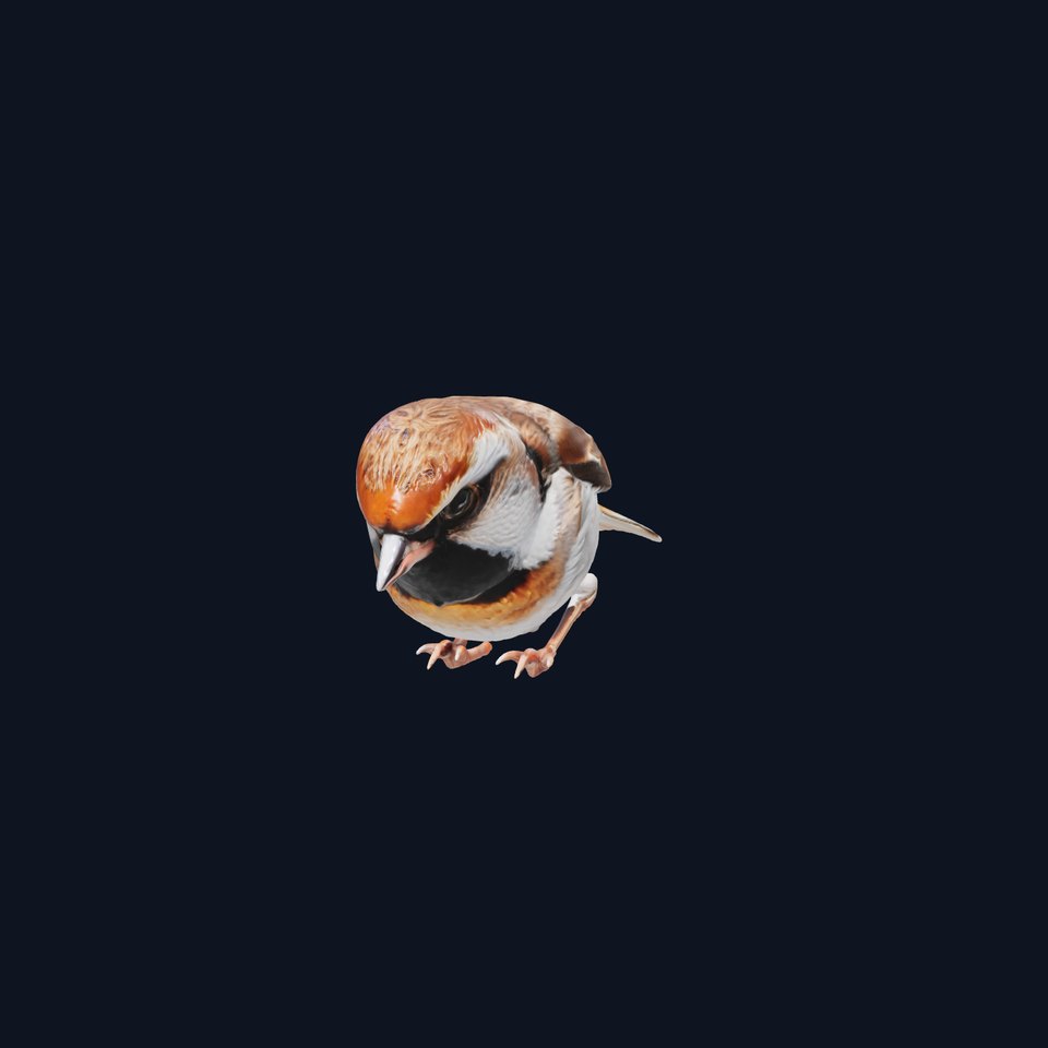 Tree Sparrow 3D Model with Detailed Textures