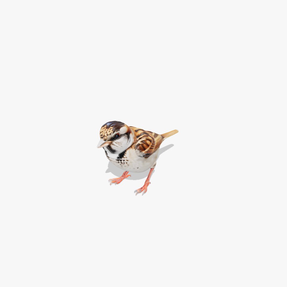 House Sparrow Model with Realistic Textured Plumage