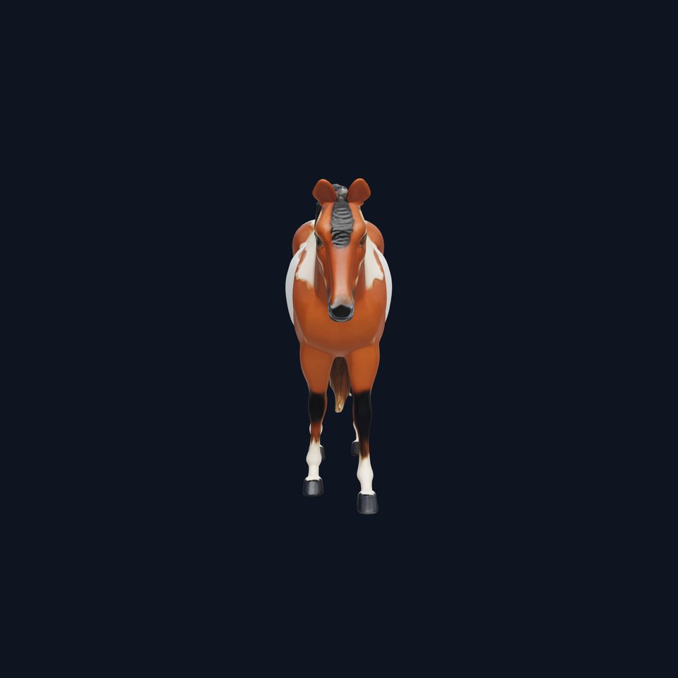 Appaloosa Quarter Horse 3D Model with Spotted Coat