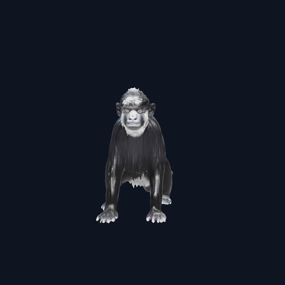 Black Crested Gibbon 3D Model with Detailed Fur