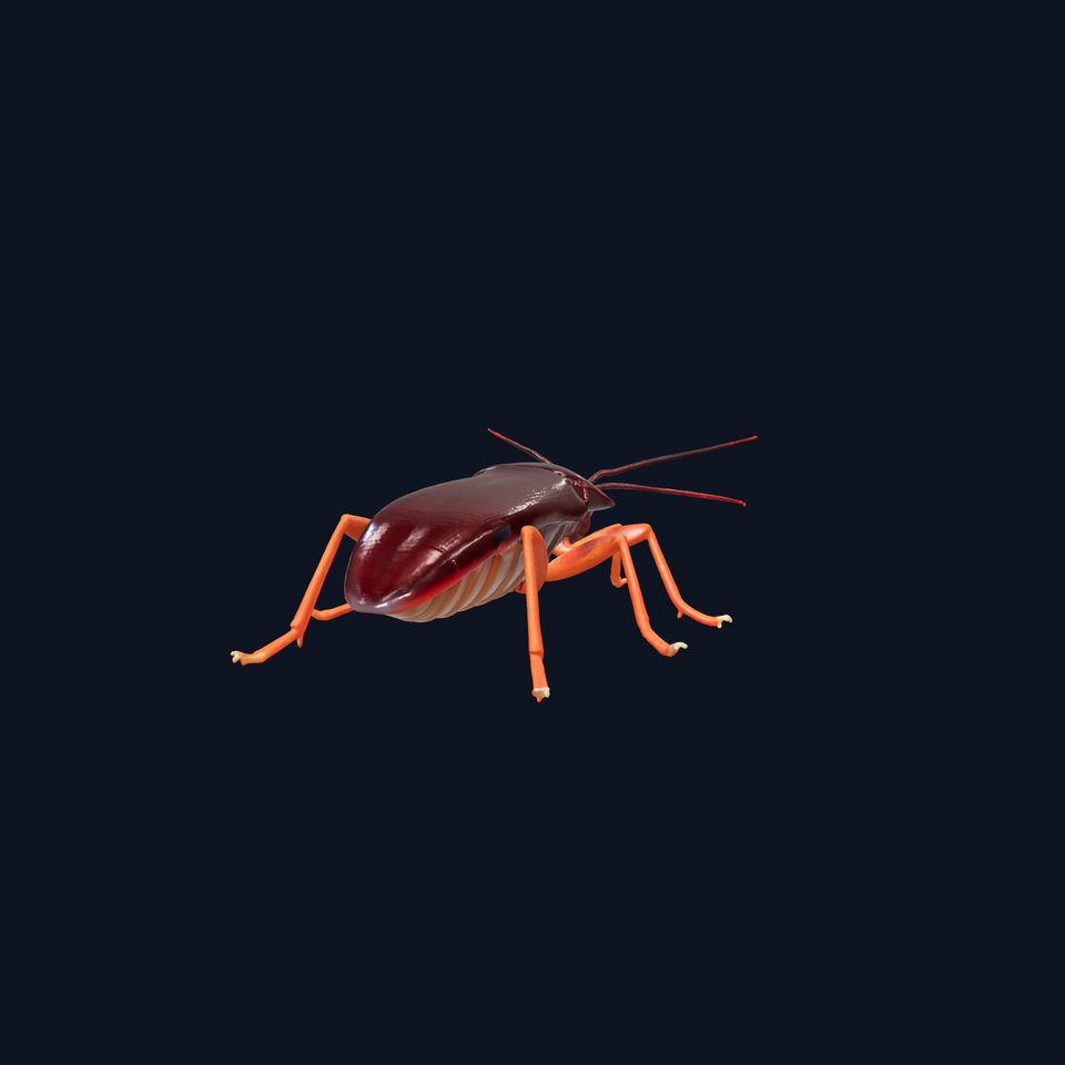Red Nocturnal Cockroach Model with Detailed Textures viewer poster