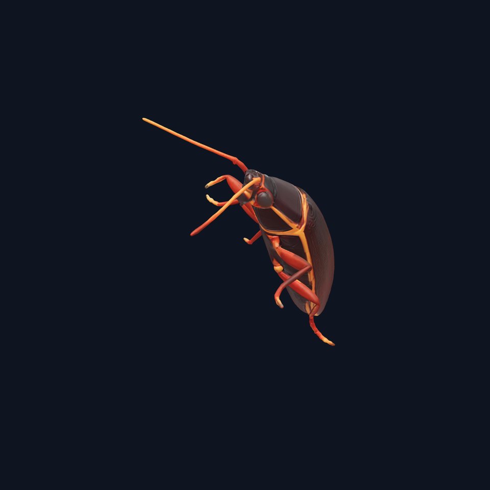Desert Cockroach 3D Model with Detailed Exoskeleton
