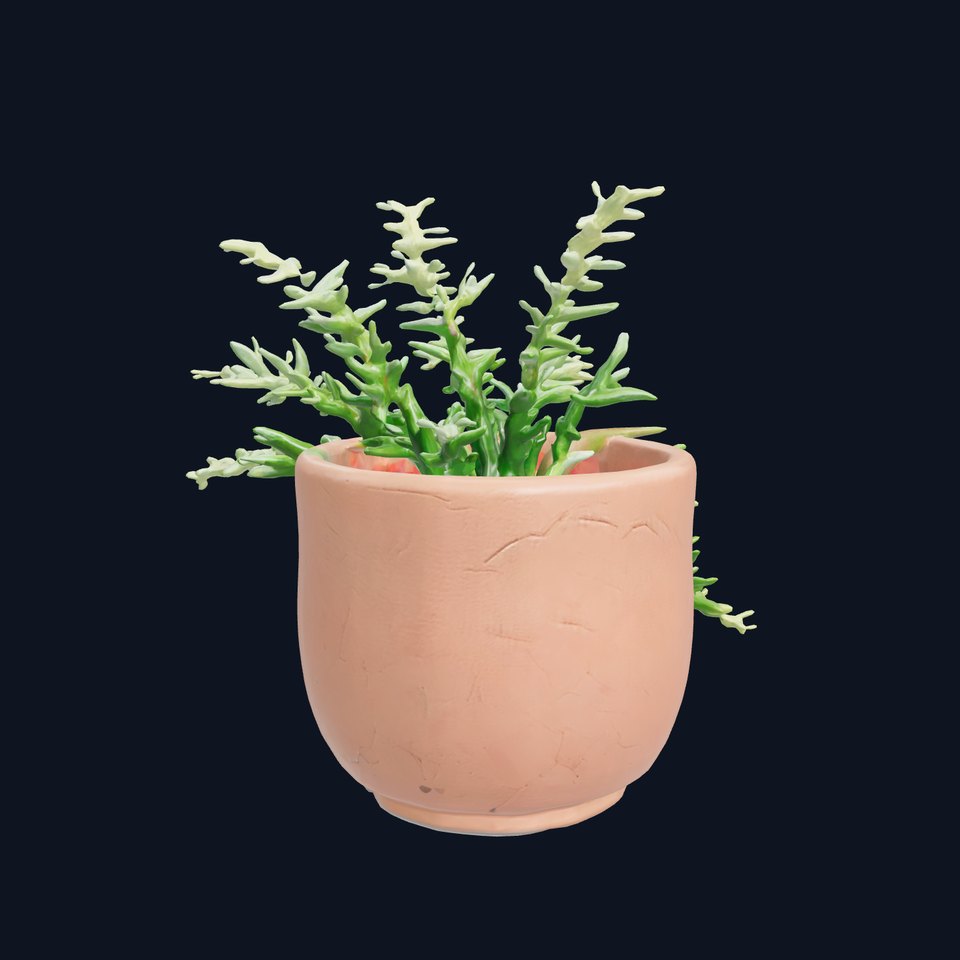Rustic Clay Pot with Tiny Fern model pack