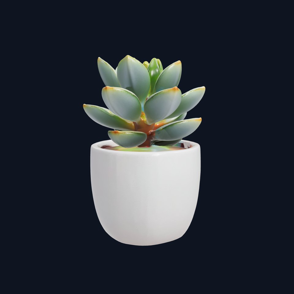 Succulent Plant in Ceramic Pot model pack