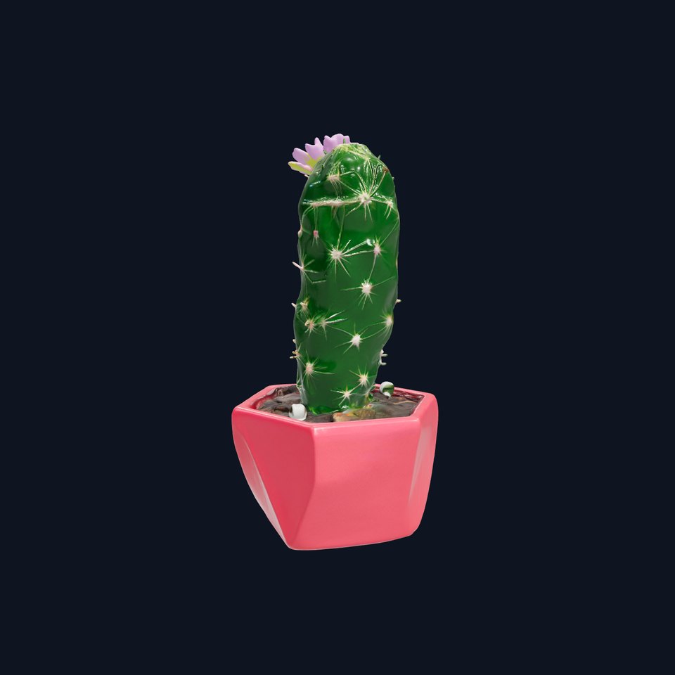 Mini Cactus in Geometric Pot model pack