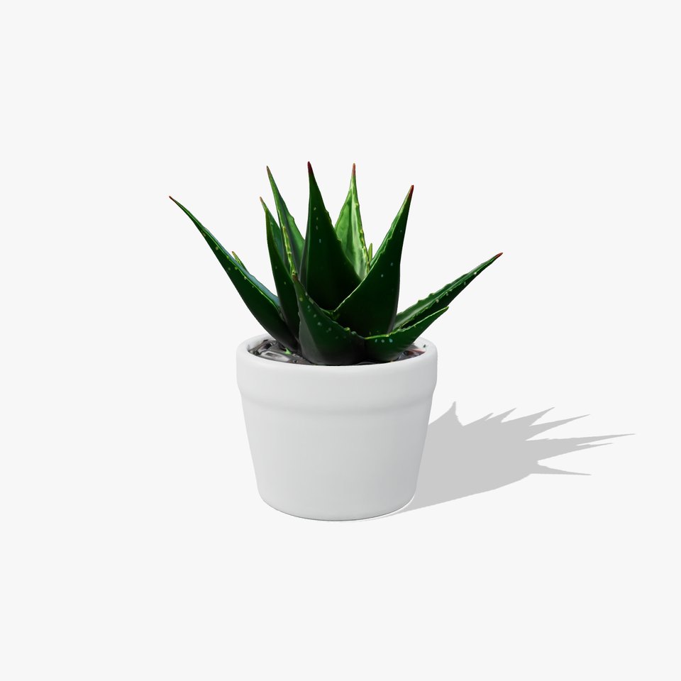 Potted Aloe Vera Plant Health Decor model pack viewer poster