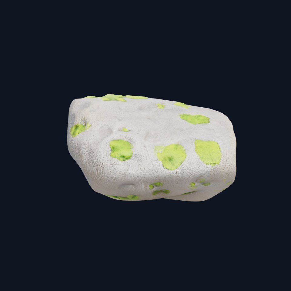 Mossy River Rock with Glossy Surface model pack