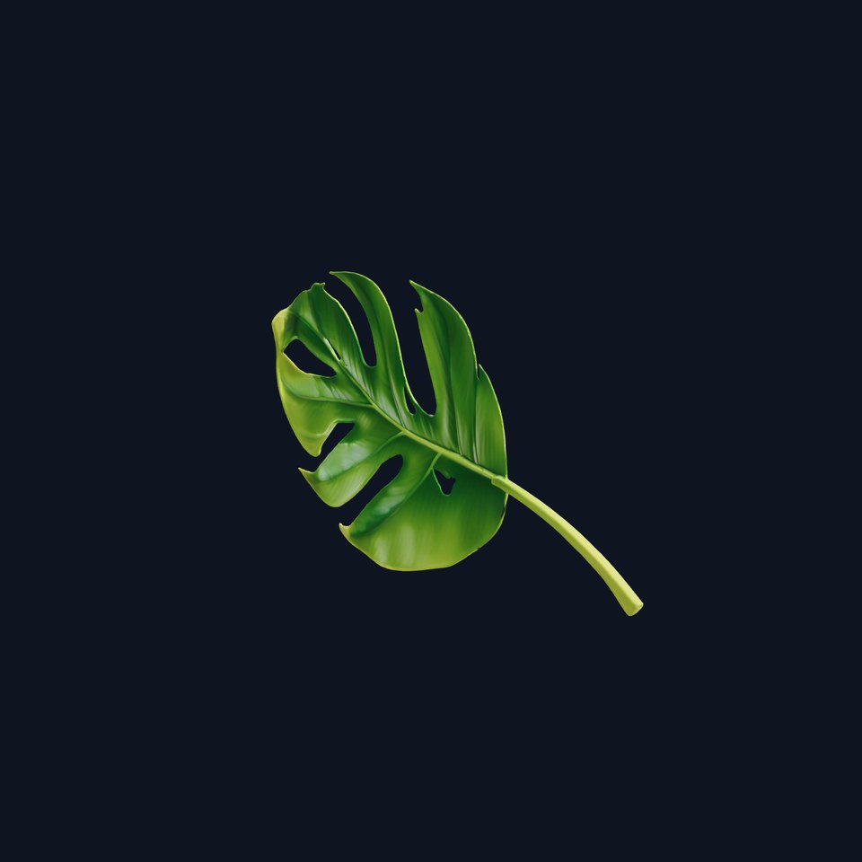 Stylized Monstera Leaf Model Pack for Playful Environments
