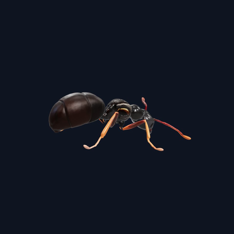 Realistic Carpenter Ant Model Pack