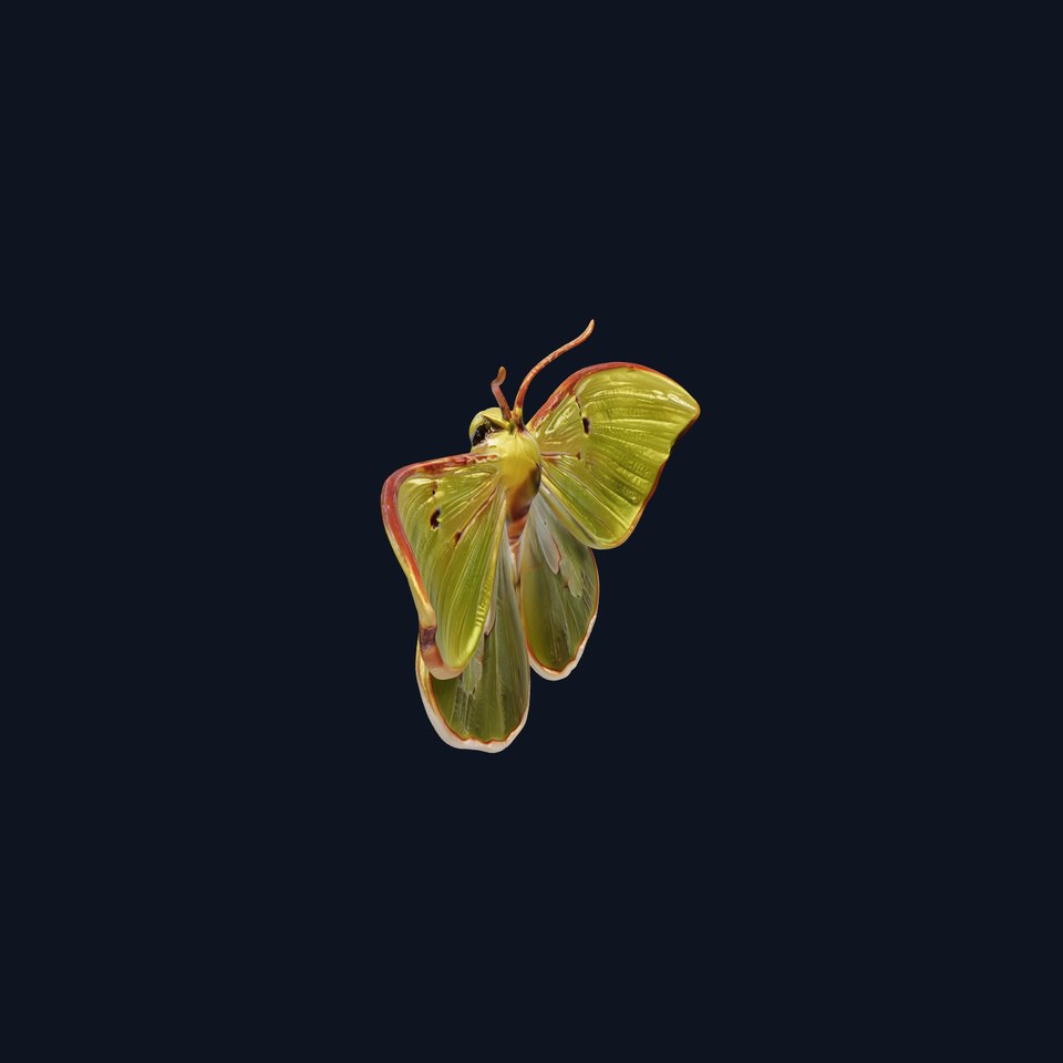 Luna Moth Detailed Wing Texture model pack