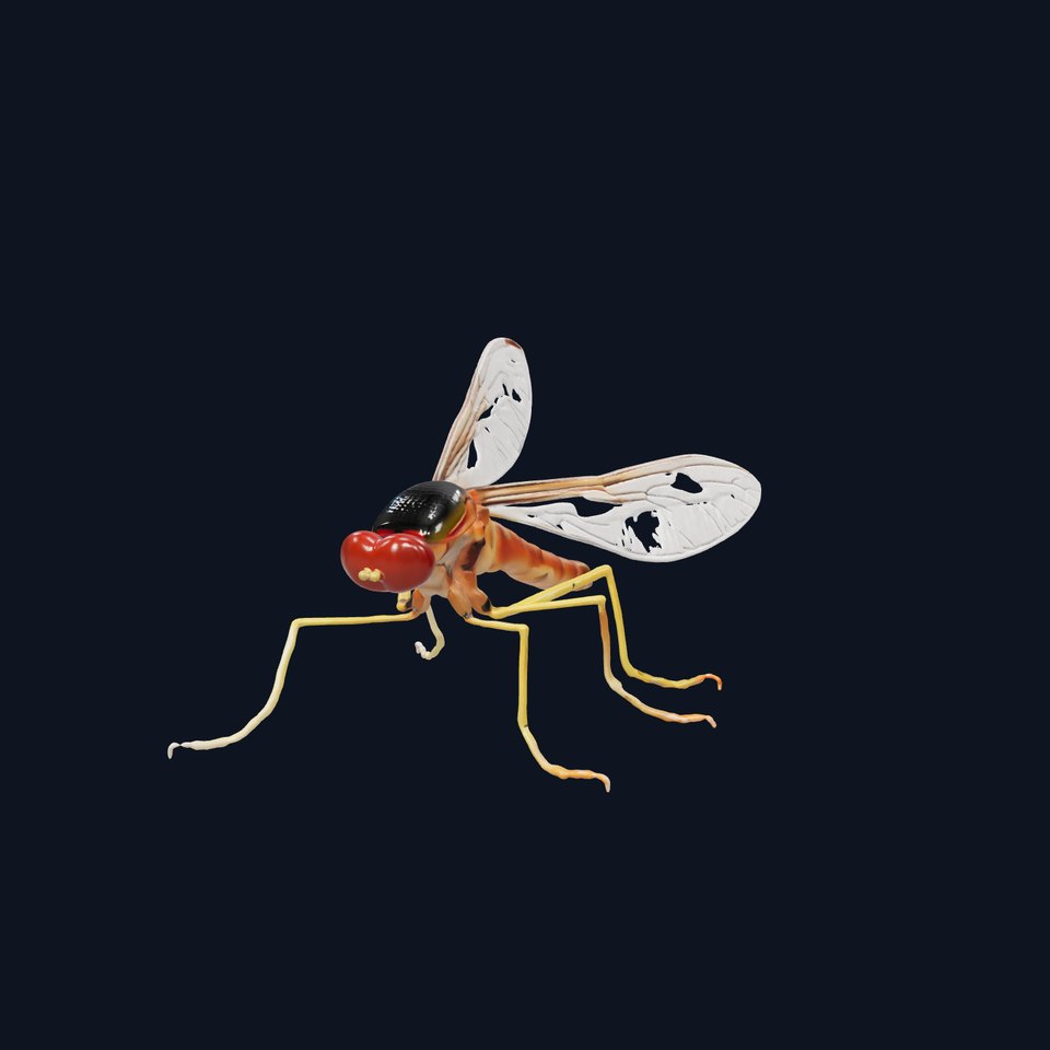 Authentic Mayfly 3D Model Pack with Delicate Textures