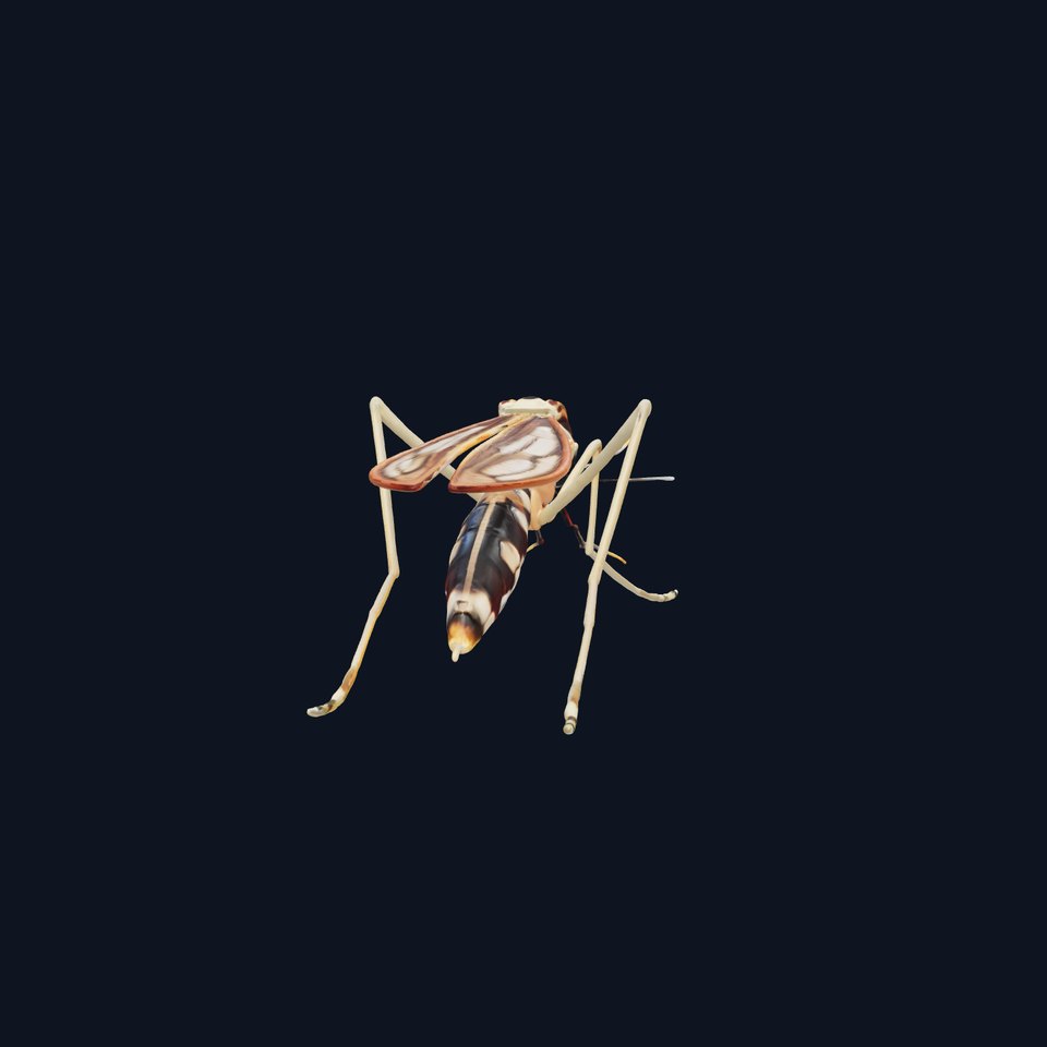 Realistic Mosquito Insect 3D model pack