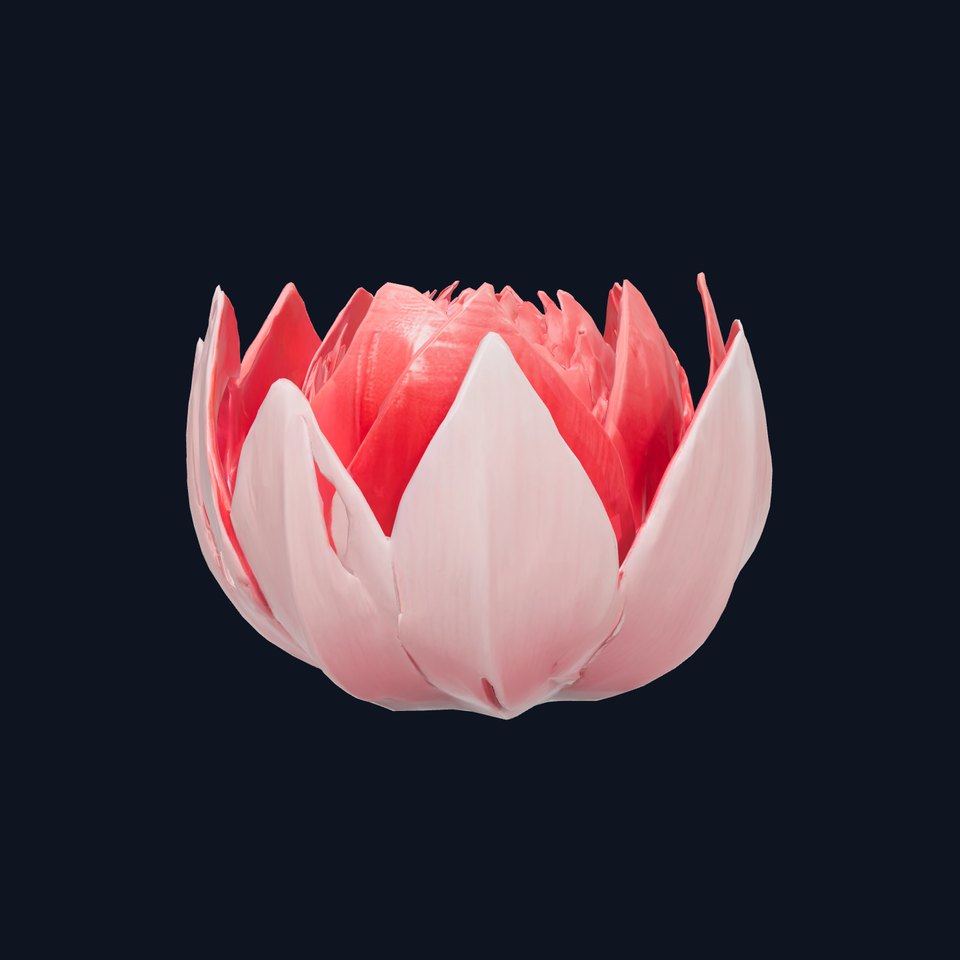 Origami Lotus Flower Serene Design model pack