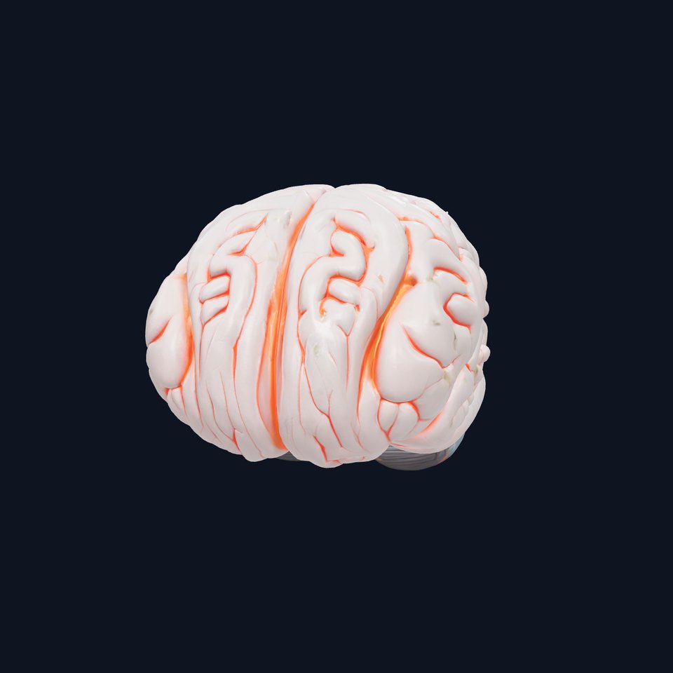 Glowing Stylized Brain Design model pack