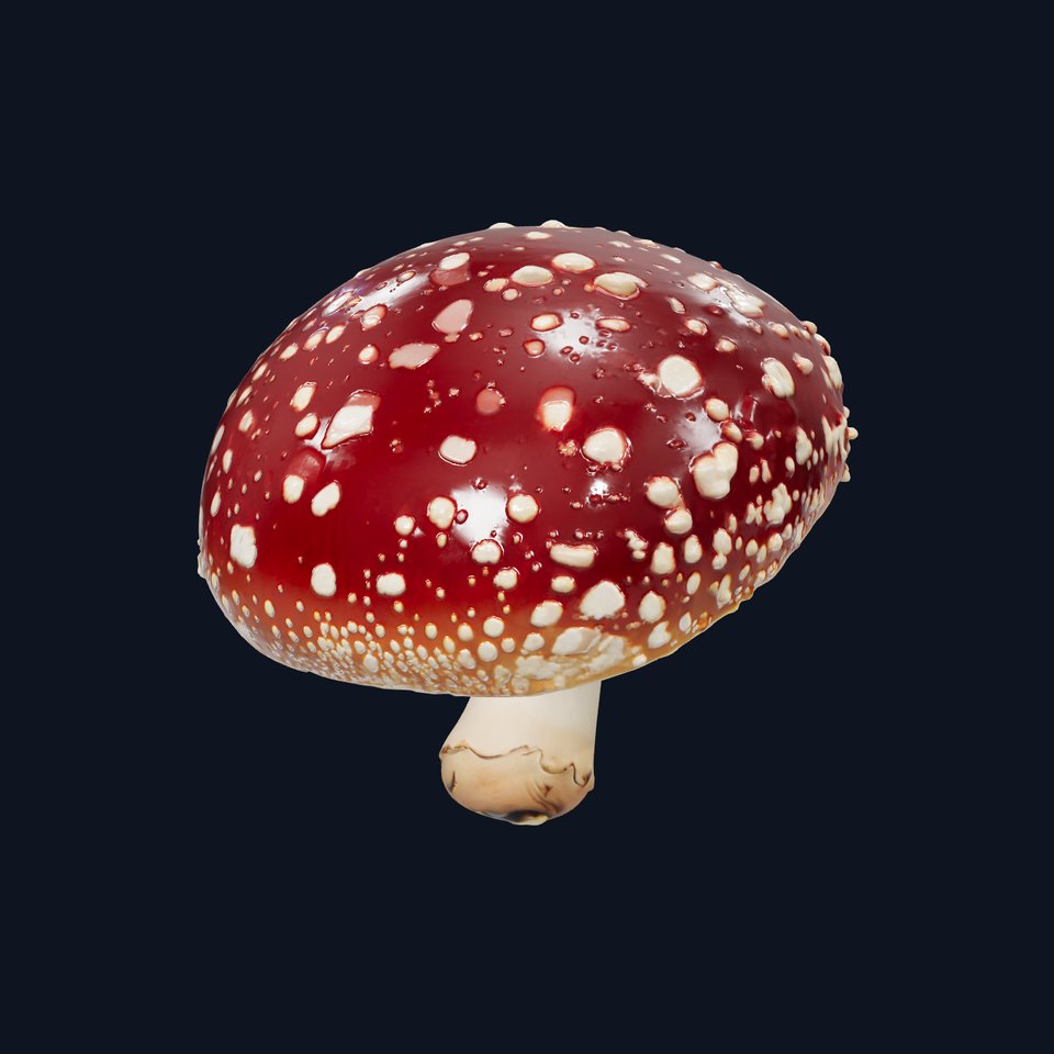 Fly Agaric Mushroom Fantasy Scene model pack