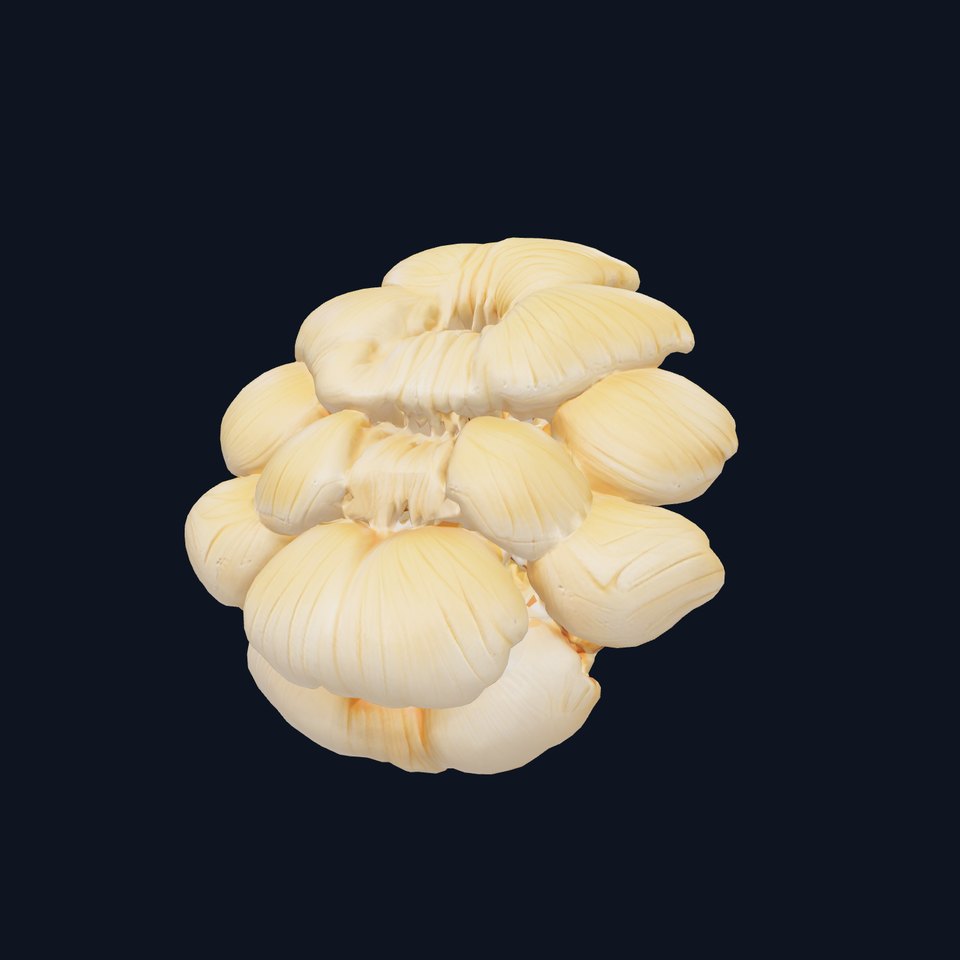 Oyster Mushroom Cluster model pack