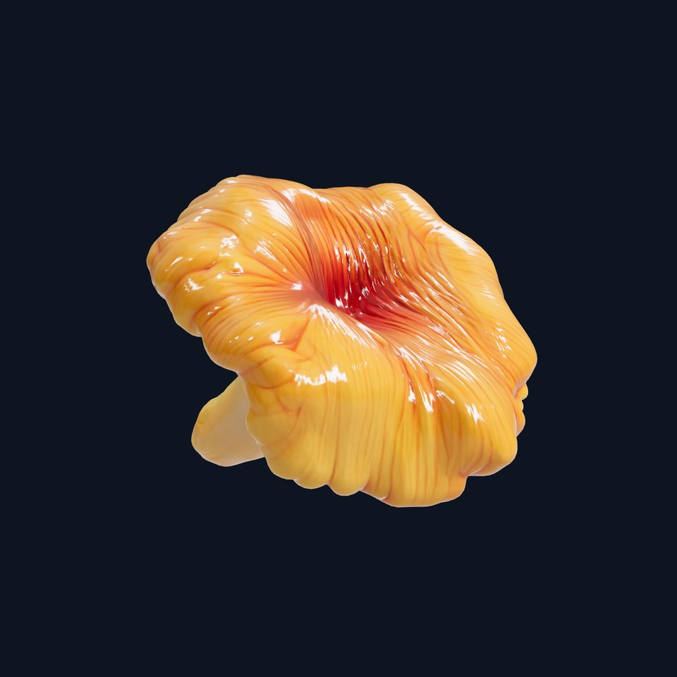 Chanterelle Mushroom Golden Texture model pack