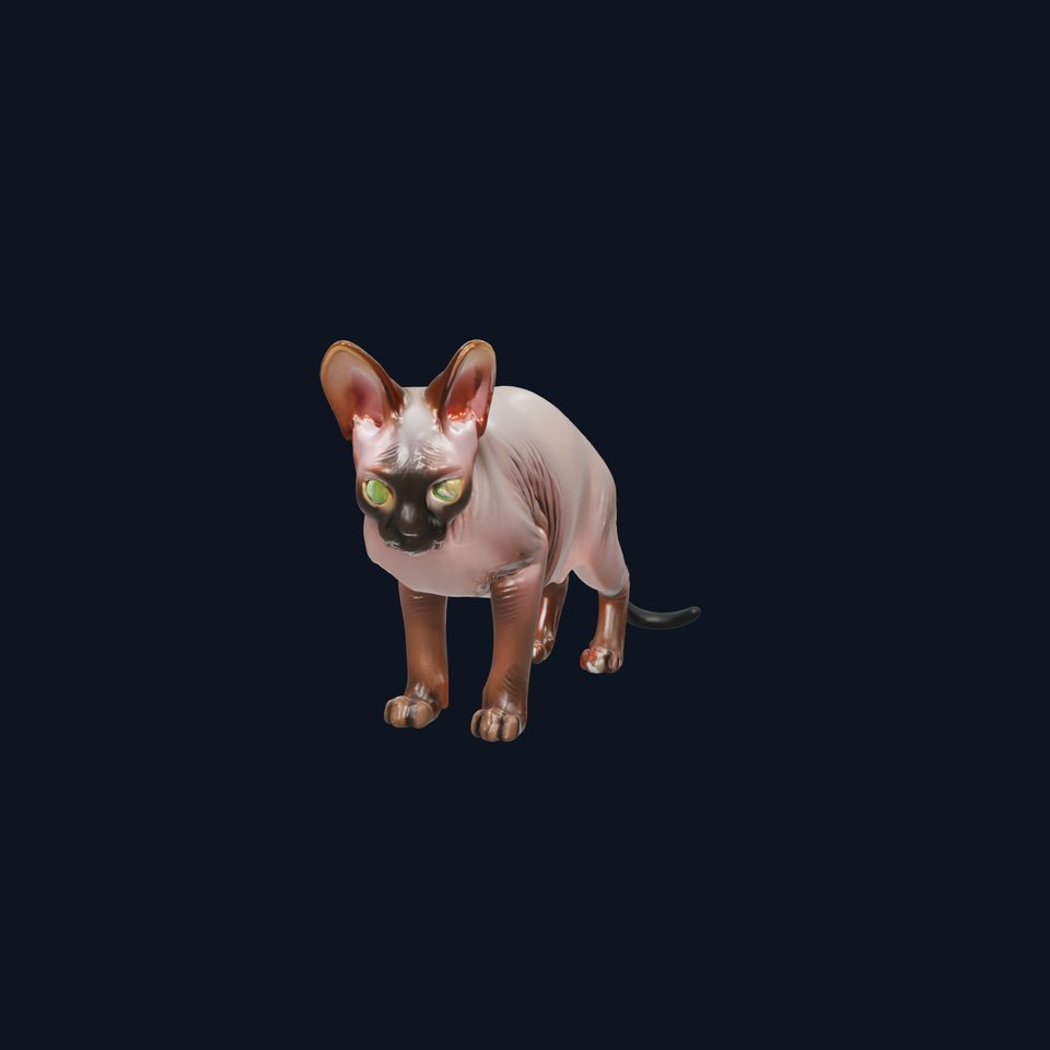 MidnightWhisker Sphynx Cat model pack
