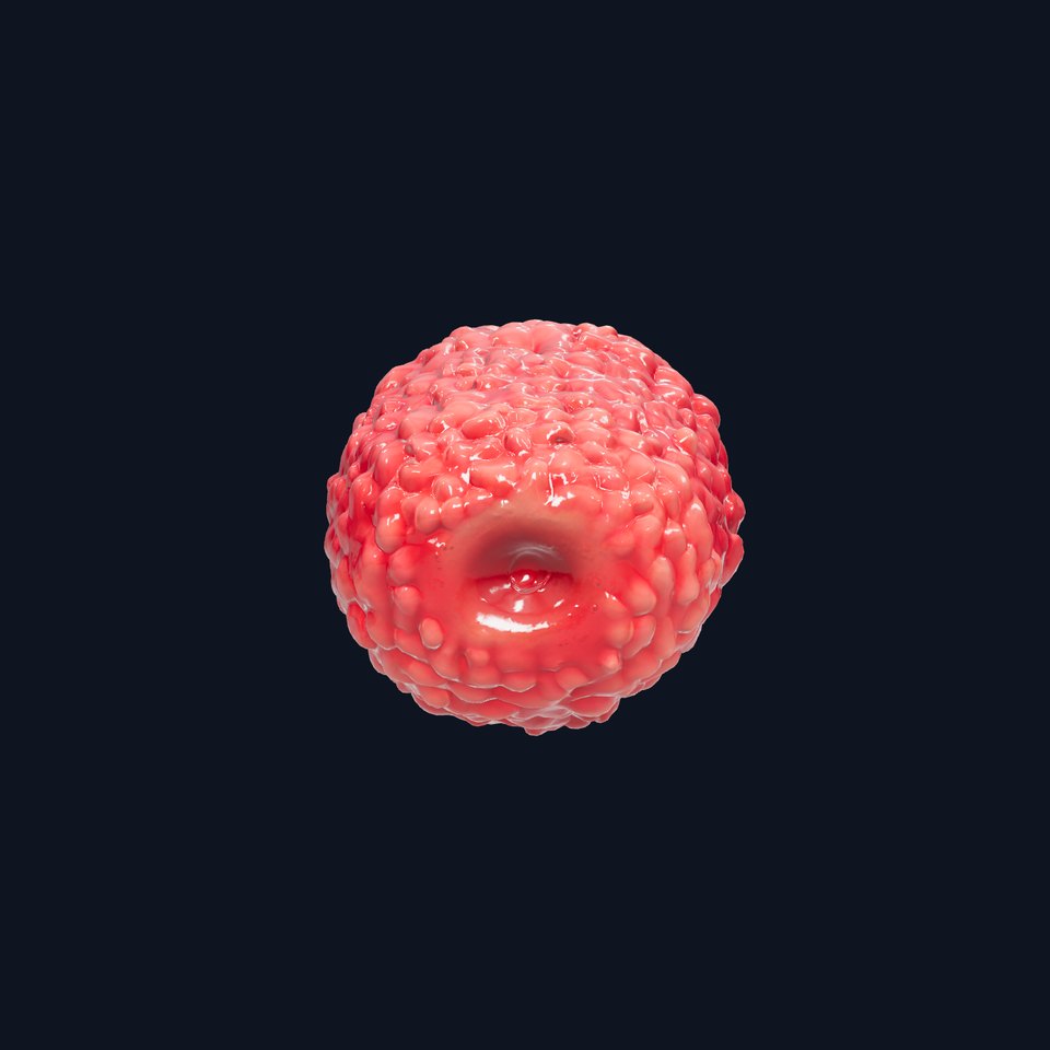 Fresh Velvet Raspberry Model Pack viewer poster