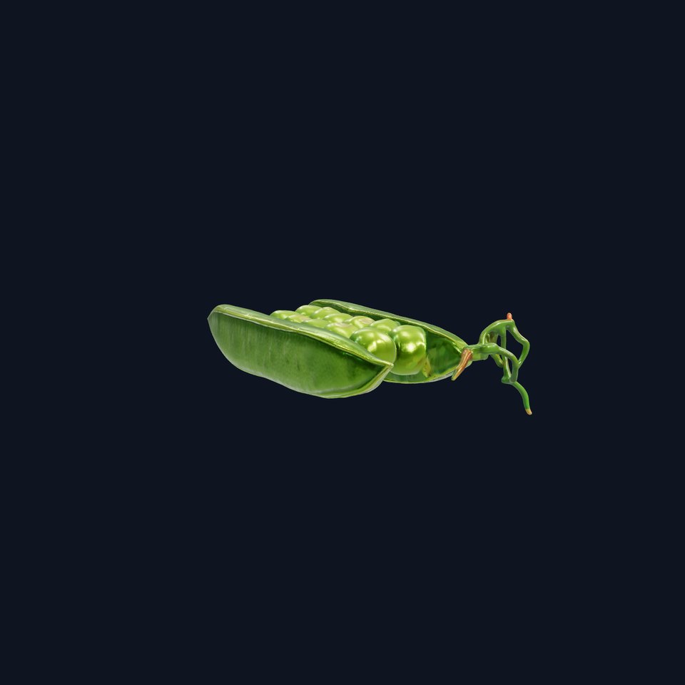 Fresh Green Pea Pod with Textured Skin model pack