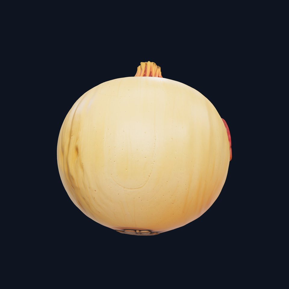 Silky Textured Onion 3D Model Pack