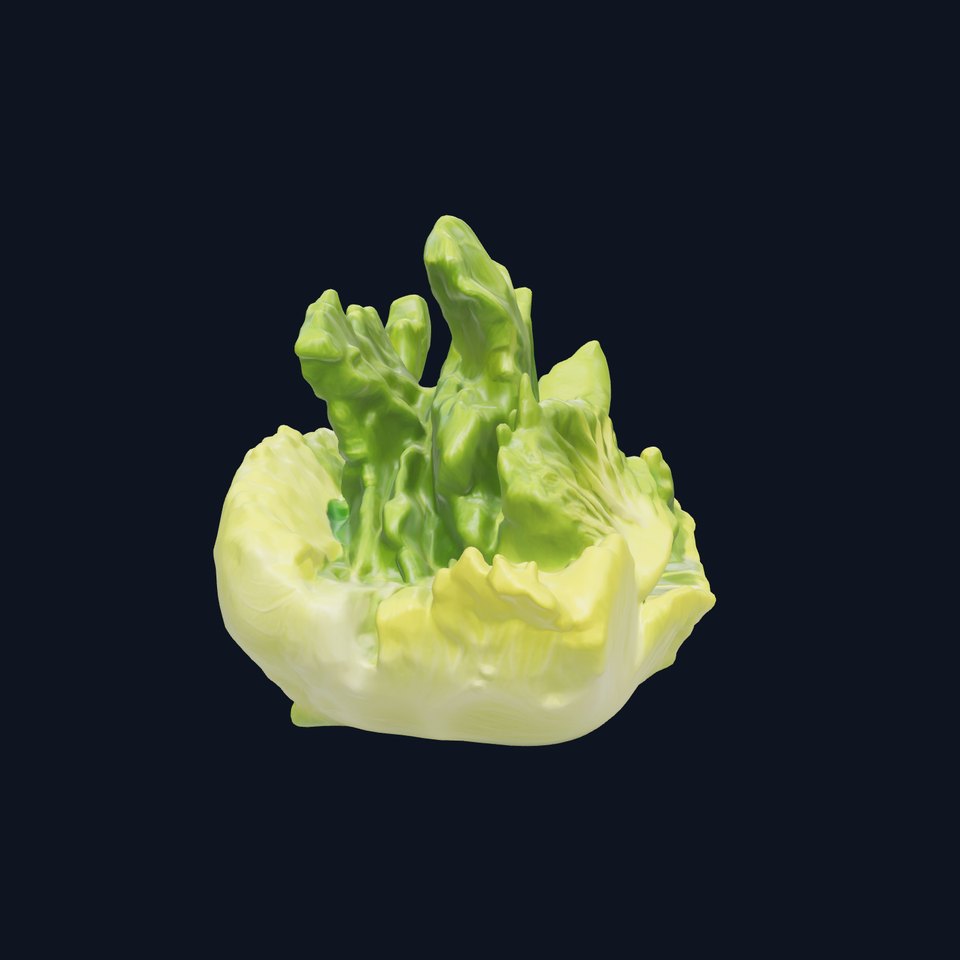 Fresh Green Lettuce Leaf Detail model pack