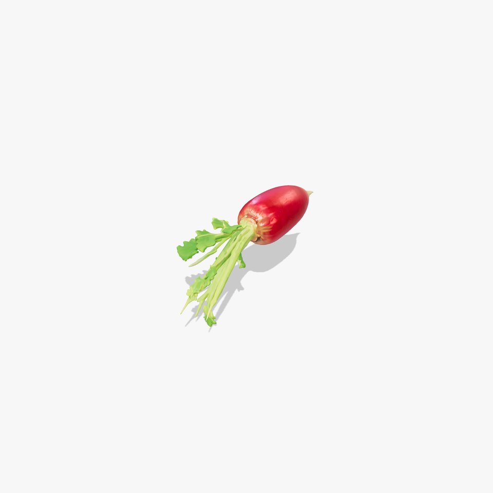 Realistic Red Radish Vegetation model pack viewer poster