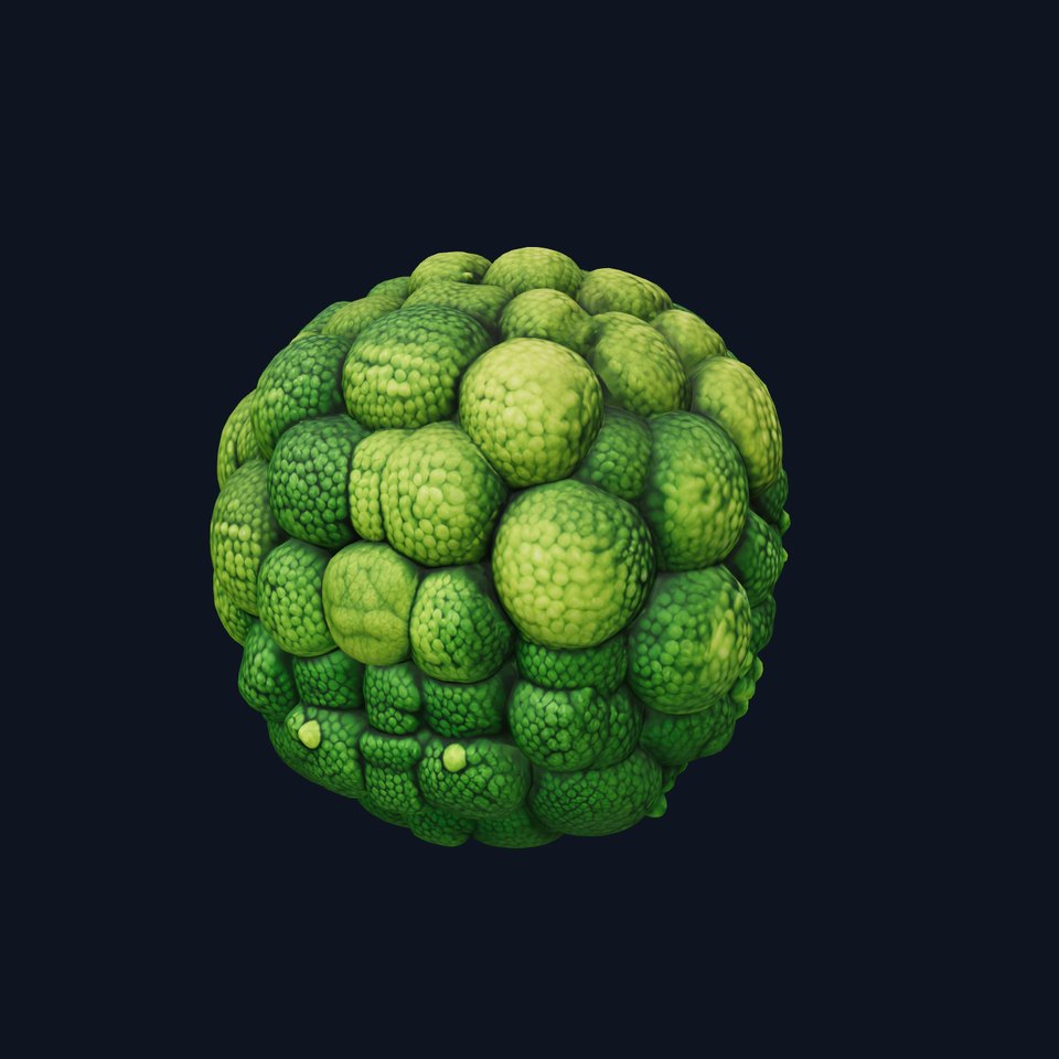 Detailed Green Broccoli Model Pack