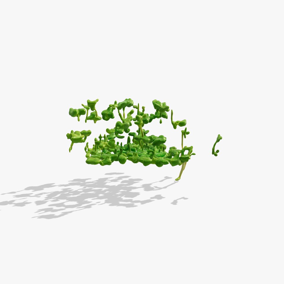 Fresh Watercress Leaf Textures model pack viewer poster