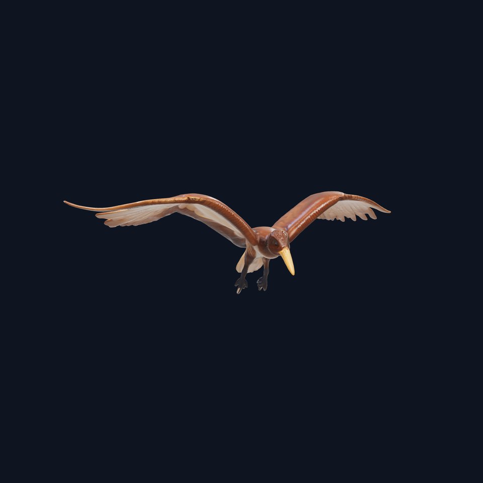 Pterodactyl Dynamic Flying Sculpture model pack viewer poster