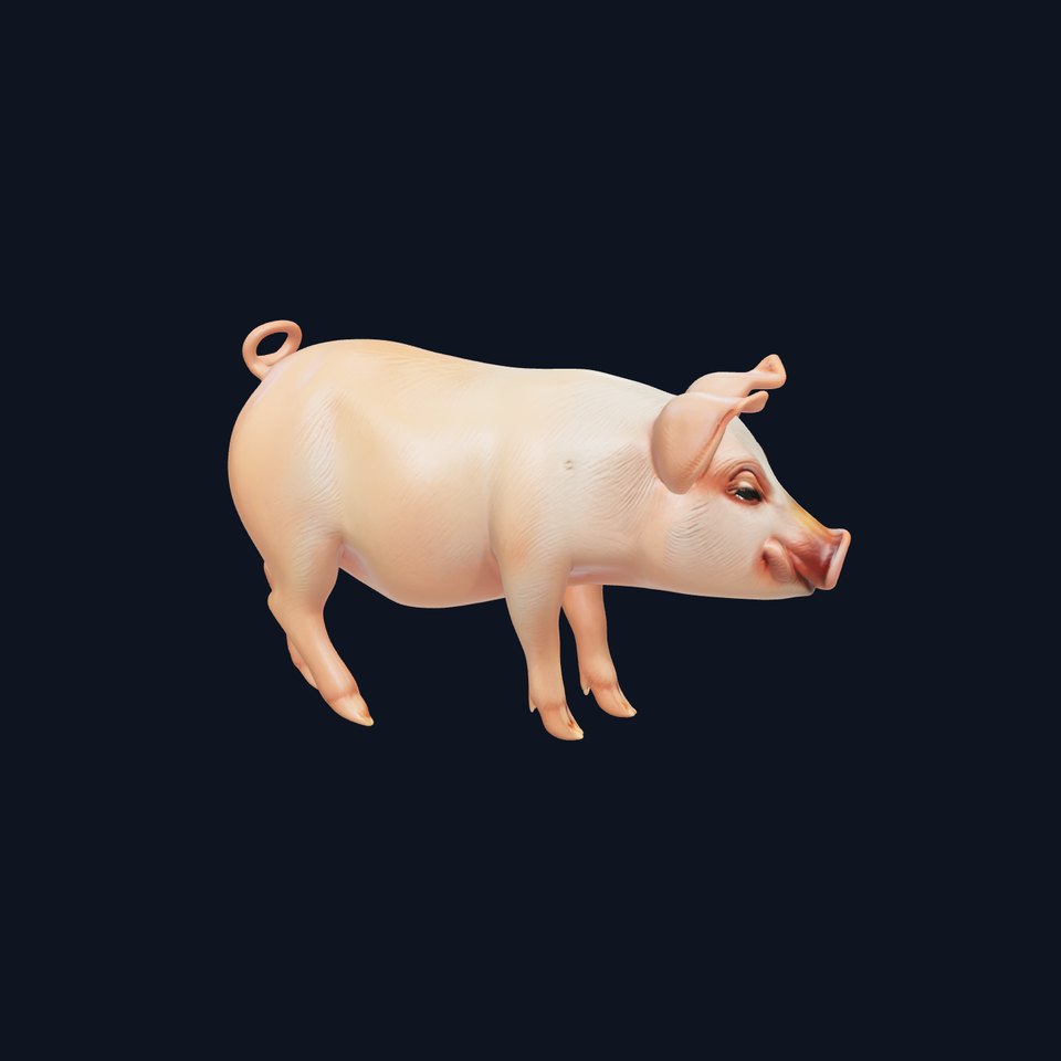Realistic Pig Model with Pink Body model pack