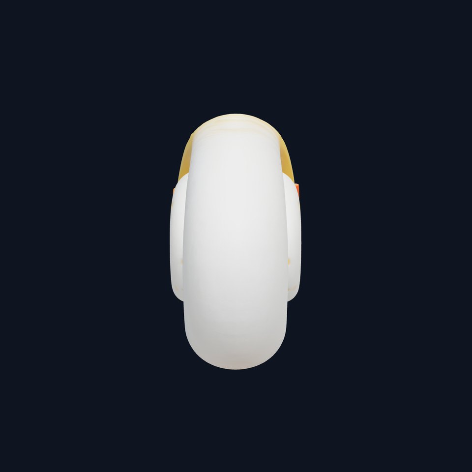 Spiral Seashell Smooth Natural Design model pack