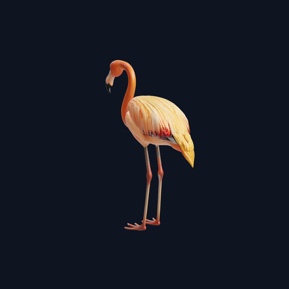 Flamingo Bird Natural Pink model pack viewer poster