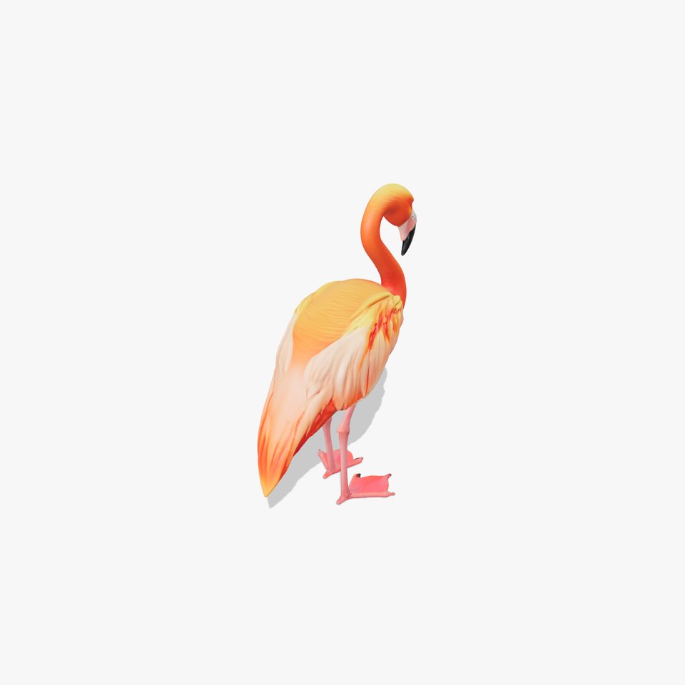 Vibrant Pink Flamingo Model Pack