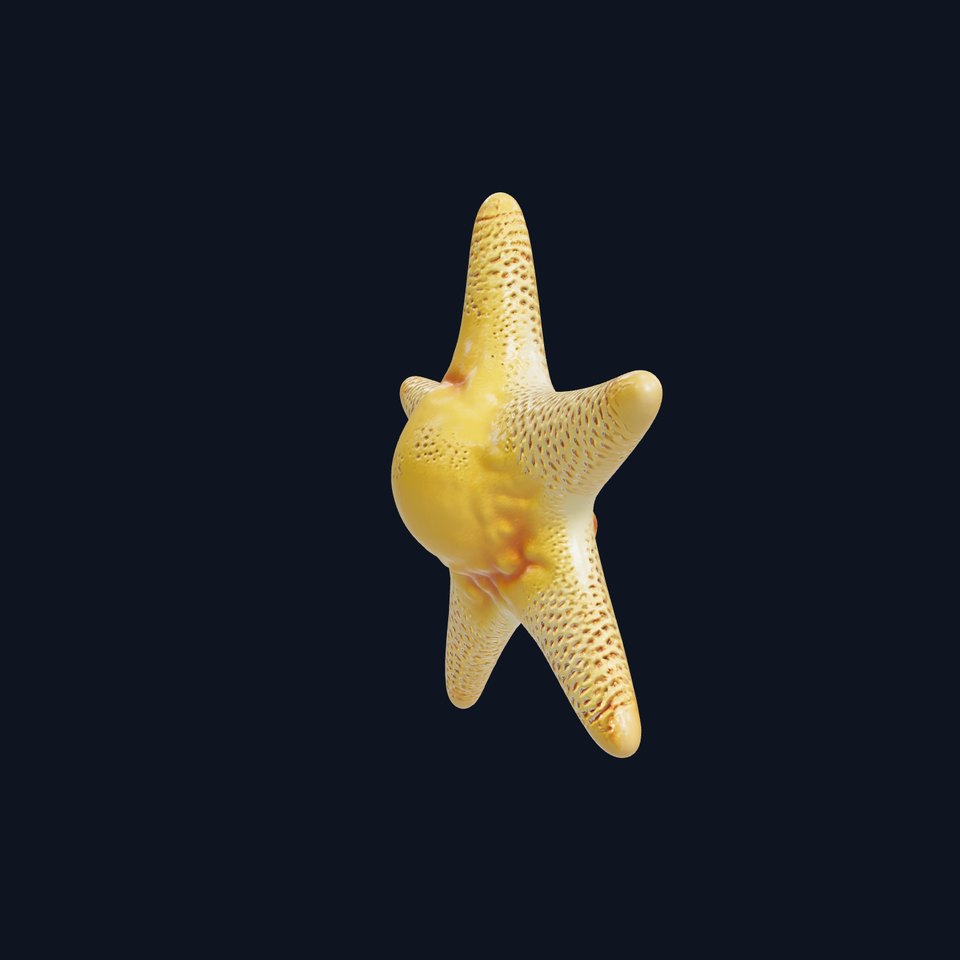 Realistic Starfish Marine Sculpture model pack viewer poster