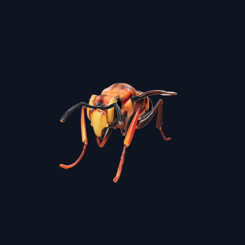 Detailed Hornet Species 3D Model Pack