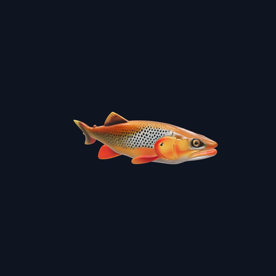Brown Trout Realistic Fish 3D Model Pack