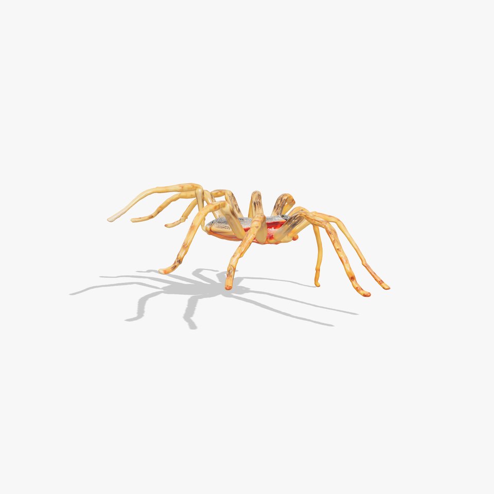 Huntsman Spider Agile Model Pack viewer poster