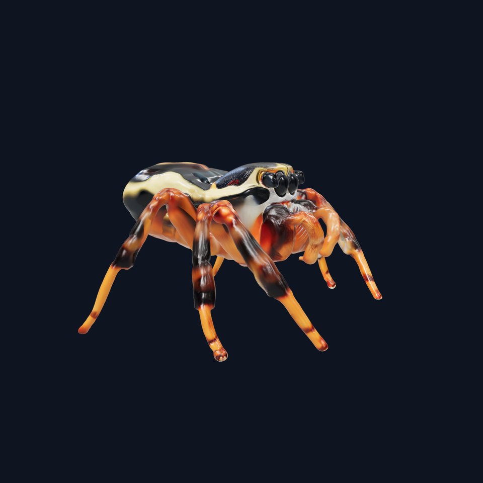 Jumping Spider Colorful Pattern Agile Leaping model pack