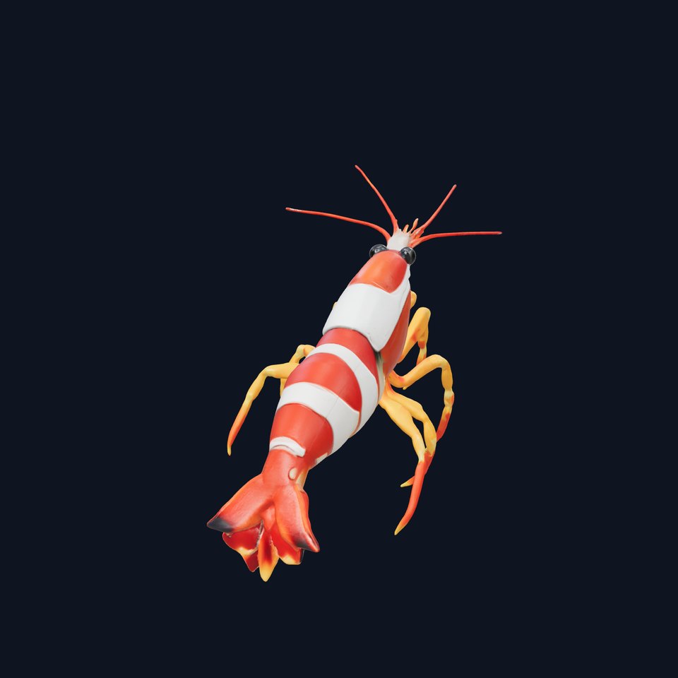 Harlequin Shrimp Vibrant Aquatic Model Pack viewer poster